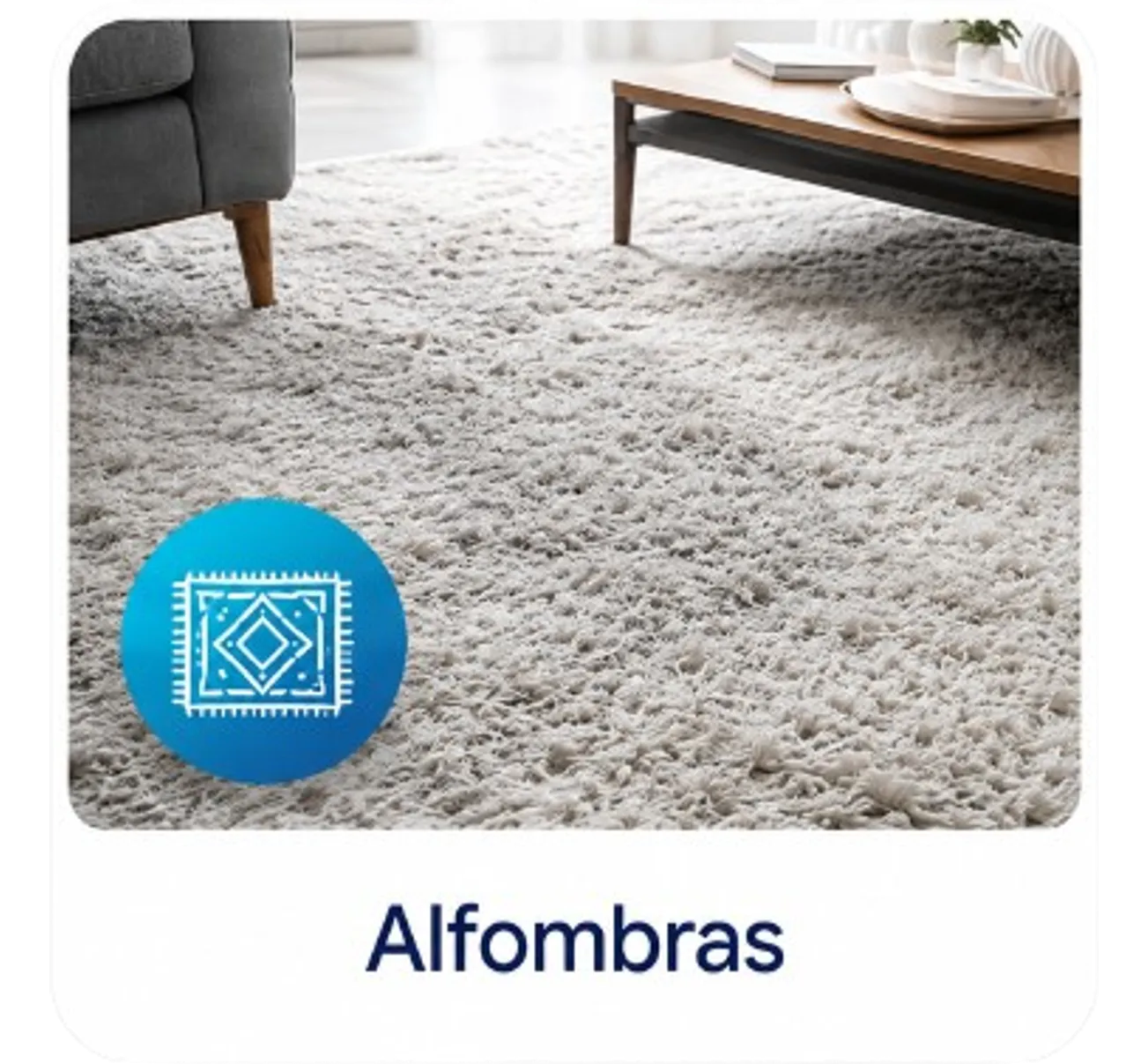 Limpiadores de alfombras